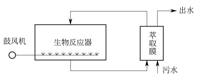 膜分离活性污泥法（MBR）有哪些形式？-水处理设备与技术