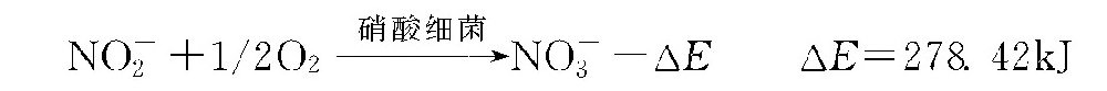 生物脱氮有怎样的转化过程？-水处理设备与技术